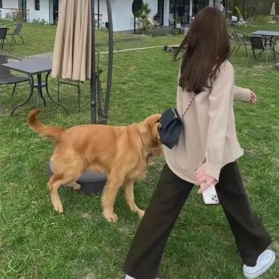 砂丘之女