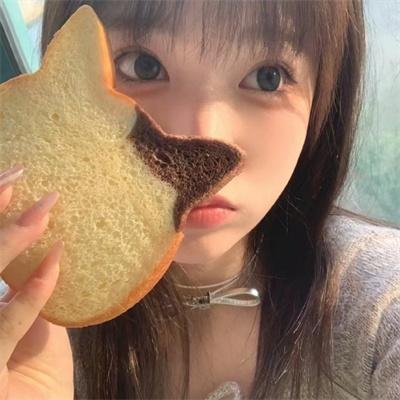 五香宫的猫